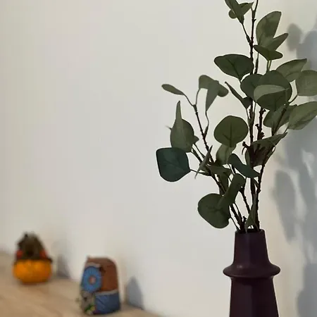 Marie 2 Confort Climatise 1 Proche Apartment Le Grau-du-Roi
