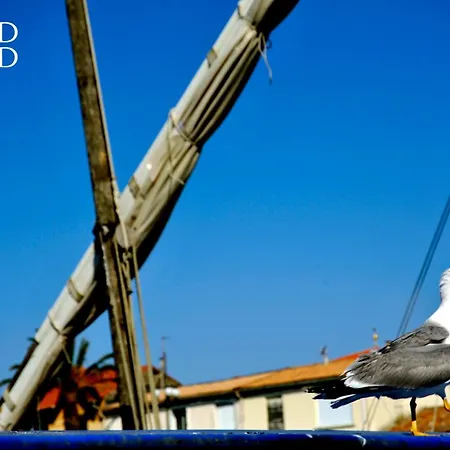 Marie 2 Confort Climatise 1 Proche Le Grau-du-Roi
