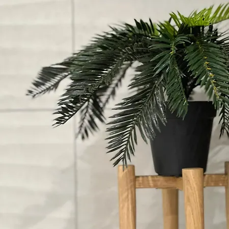 Marie 2 Confort Climatise 1 Proche Appartement Le Grau-du-Roi